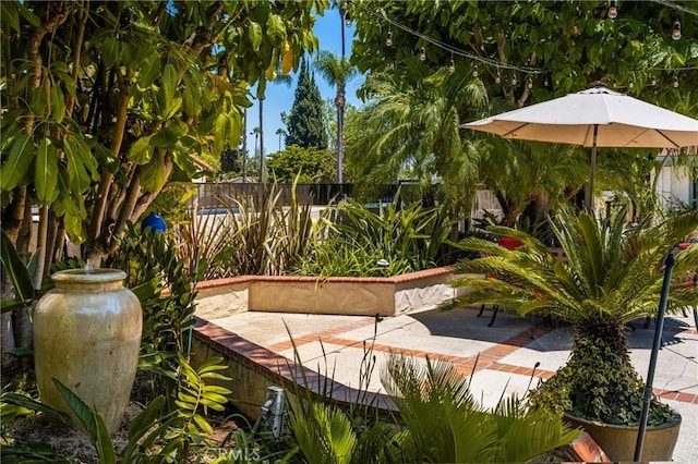 521 N Clementine St, Anaheim, CA 92805 - photo 55