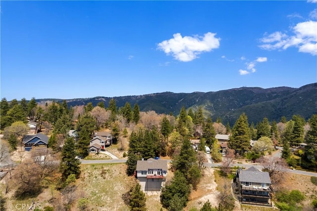 30191 Enchanted Way, Running Springs, CA 92382 - photo 43