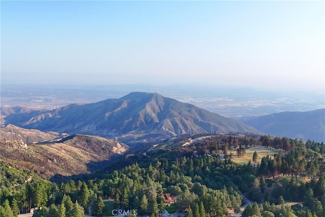 30191 Enchanted Way, Running Springs, CA 92382 - photo 49