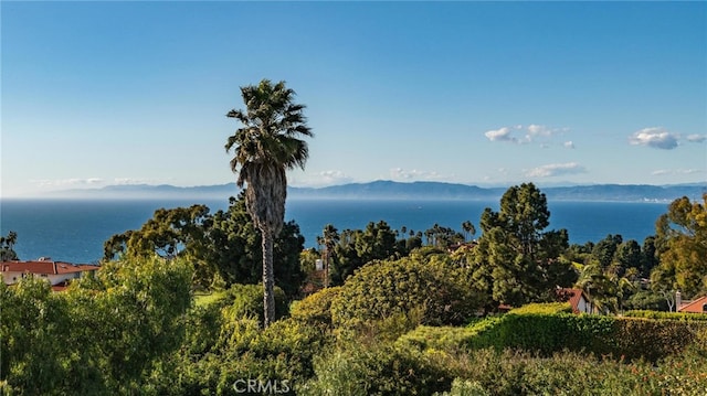 1409 Via Arco, Palos Verdes Estates, CA 90274 - photo 36
