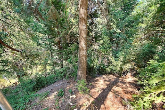 680 Buckingham, Lake Arrowhead, CA 92385 - photo 69