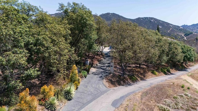 3829 Silverleaf Ln, Vista, CA 92084 - photo 62
