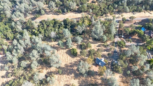 84 Rusty Dusty Rd, Oroville, CA 95966 - photo 35