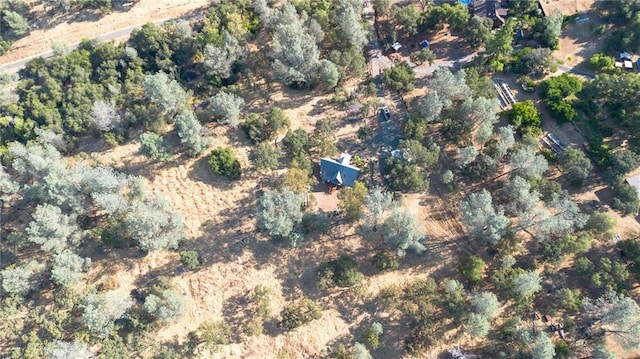 84 Rusty Dusty Rd, Oroville, CA 95966 - photo 34