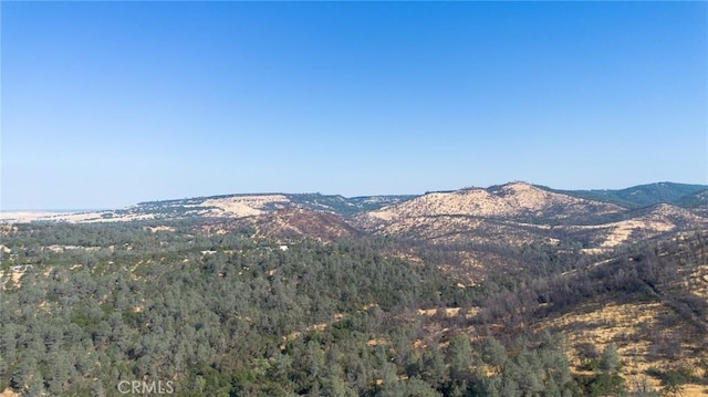 84 Rusty Dusty Rd, Oroville, CA 95966 - photo 28