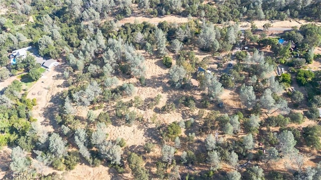 84 Rusty Dusty Rd, Oroville, CA 95966 - photo 36