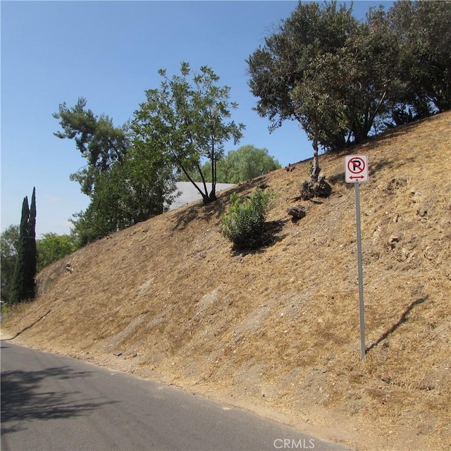 3631 Tacoma, Mount Washington, CA 90065 - photo 27