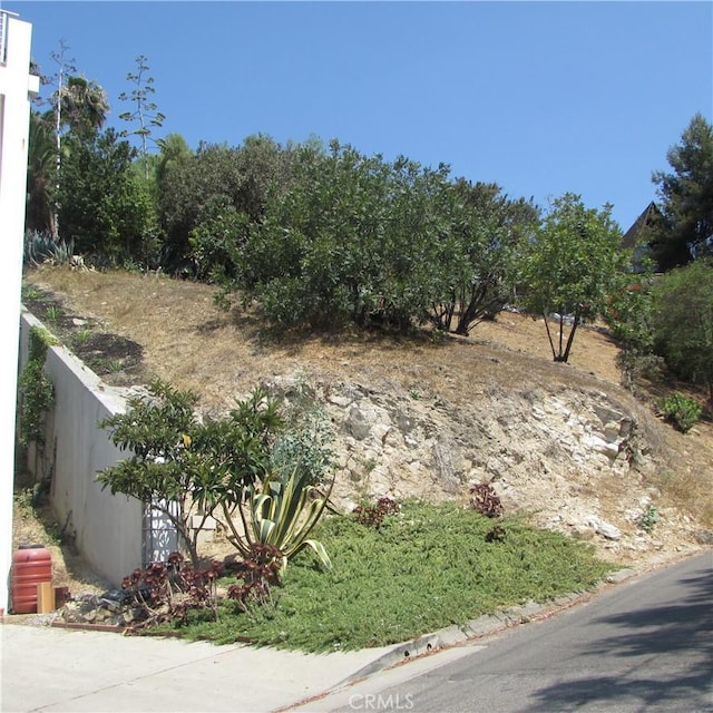 3631 Tacoma, Mount Washington, CA 90065 - photo 51