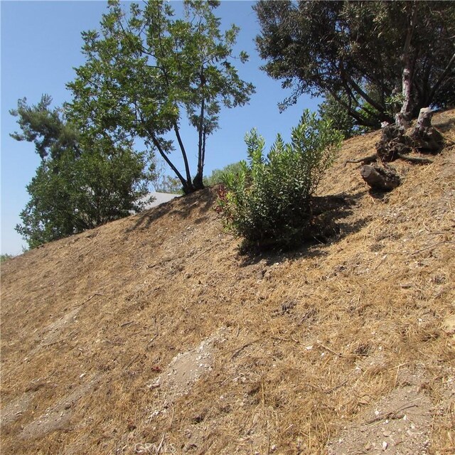 3631 Tacoma, Mount Washington, CA 90065 - photo 30