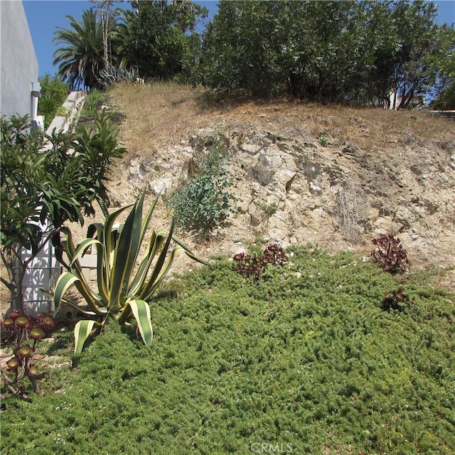 3631 Tacoma, Mount Washington, CA 90065 - photo 8