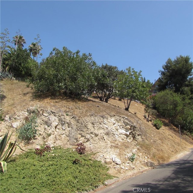 3631 Tacoma, Mount Washington, CA 90065 - photo 41