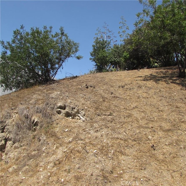 3631 Tacoma, Mount Washington, CA 90065 - photo 33