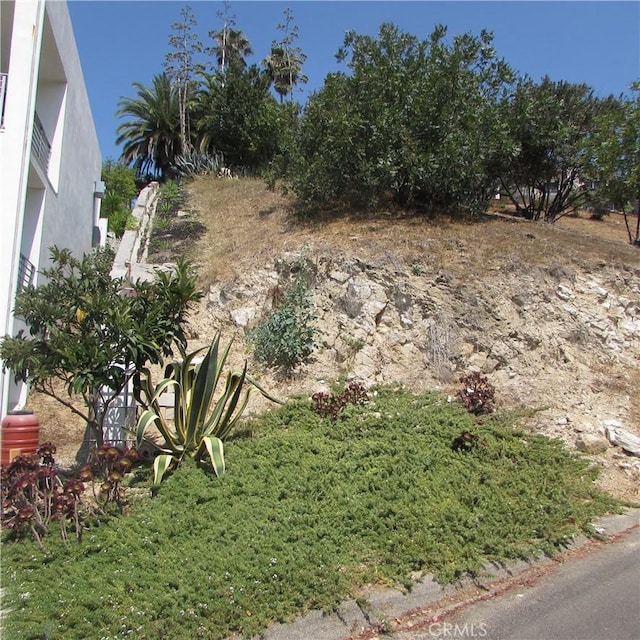 3631 Tacoma, Mount Washington, CA 90065 - photo 9