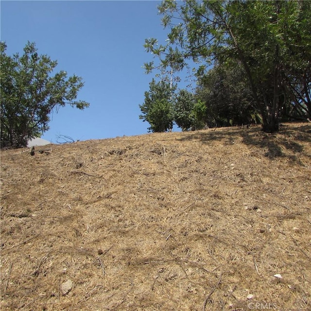 3631 Tacoma, Mount Washington, CA 90065 - photo 32