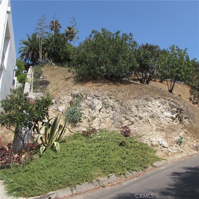 3631 Tacoma, Mount Washington, CA 90065 - photo 10