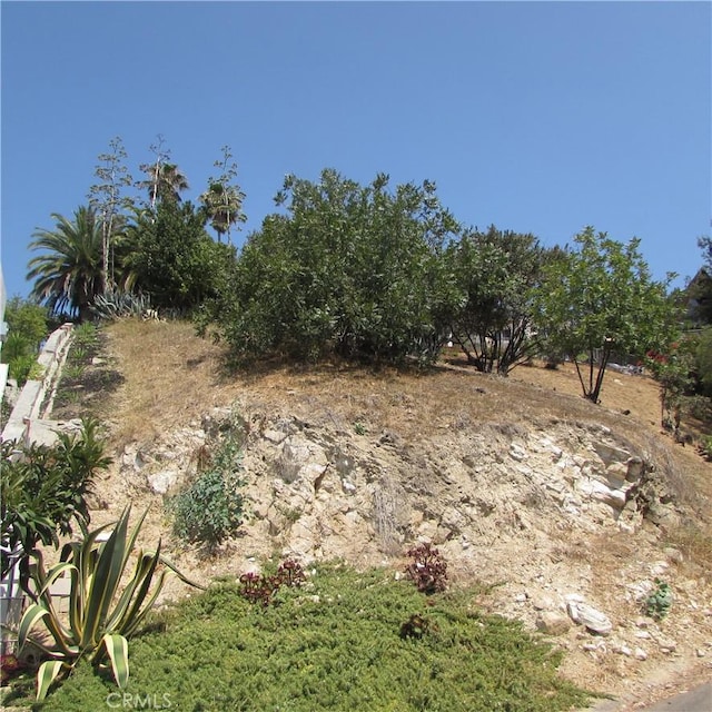 3631 Tacoma, Mount Washington, CA 90065 - photo 44