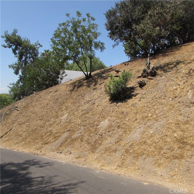 3631 Tacoma, Mount Washington, CA 90065 - photo 23