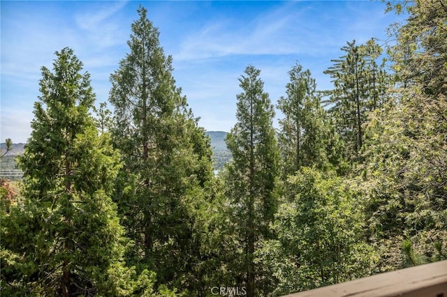 332 Grizzly Rd, Lake Arrowhead, CA 92352 - photo 18