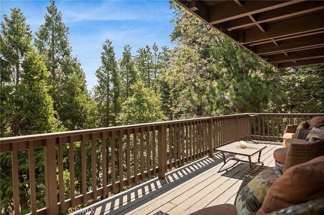 332 Grizzly Rd, Lake Arrowhead, CA 92352 - photo 17