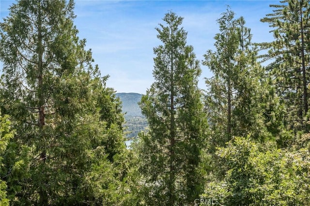 332 Grizzly Rd, Lake Arrowhead, CA 92352 - photo 22