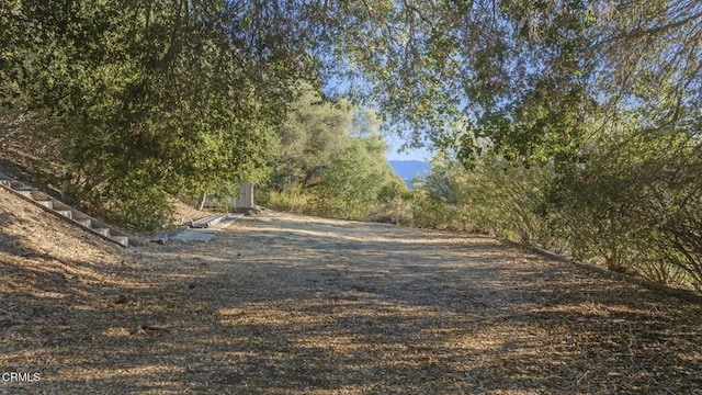 10920 Ventura Ave, Oak View, CA 93022 - photo 46