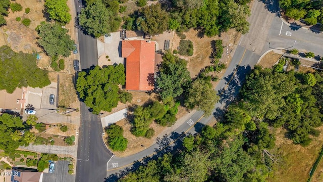 518 S Ventura St, Ojai, CA 93023 - photo 47