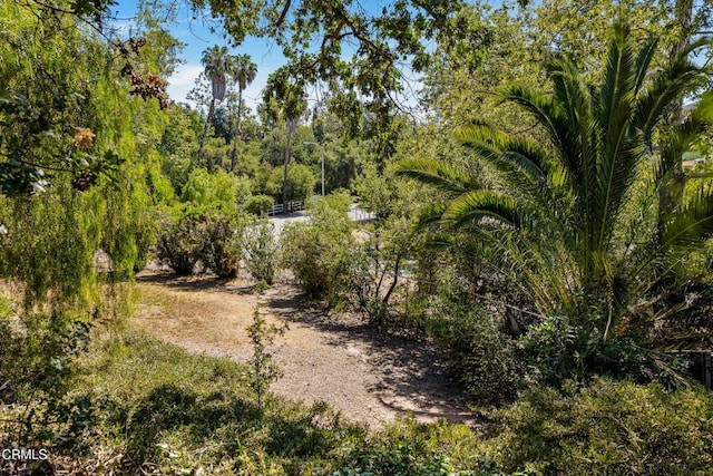 518 S Ventura St, Ojai, CA 93023 - photo 46