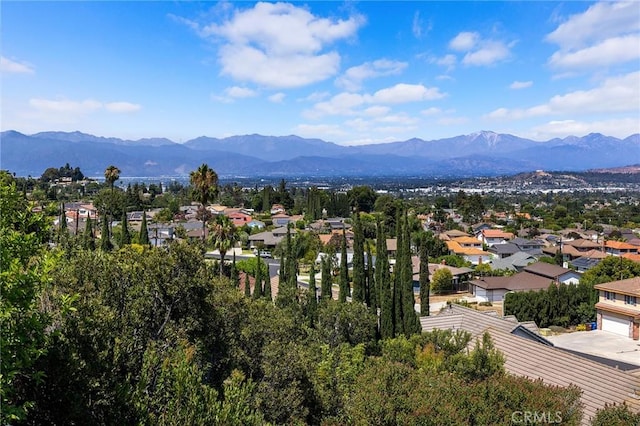 15331 Lillian Pl, Hacienda Heights, CA 91745 - photo 59