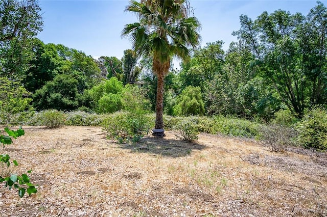 1102 N Richman Knl, Fullerton, CA 92835 - photo 62