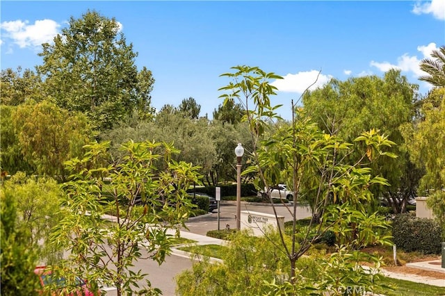 176 Parkwood, Irvine, CA 92620 - photo 5
