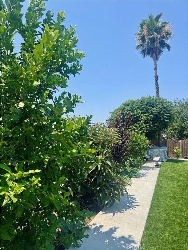 459 Allen St, Rialto, CA 92376 - photo 15