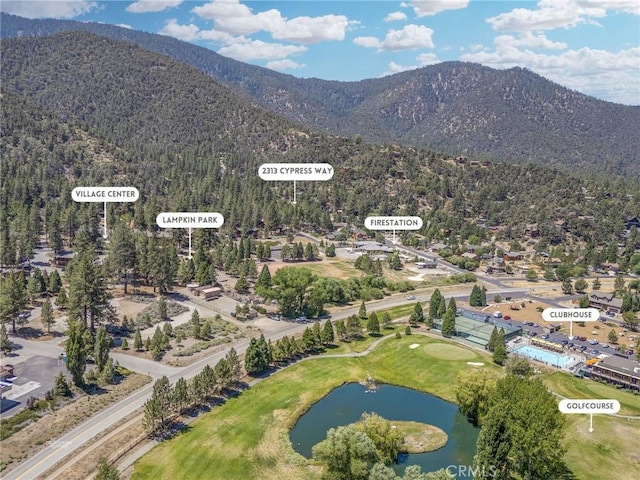 2313 Cypress Way, Pine Mountain Club, CA 93222 - photo 8