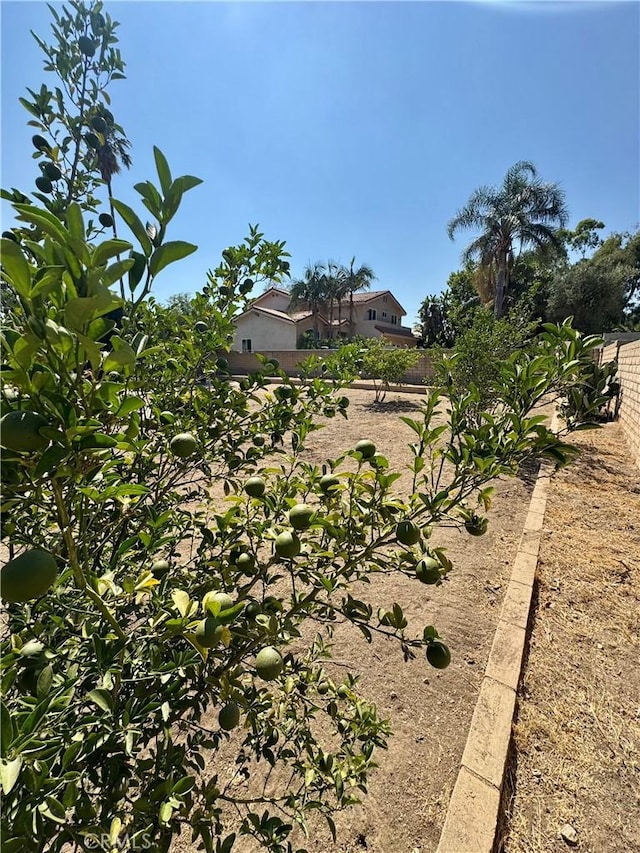 15301 Larkspur St, Sylmar, CA 91342 - photo 9