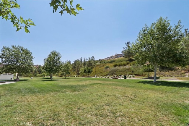 27220 Sterling Grove Ln, Canyon Country, CA 91387 - photo 21