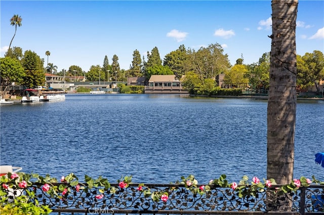 22762 Bayshore Ln, Lake Forest, CA 92630 - photo 49