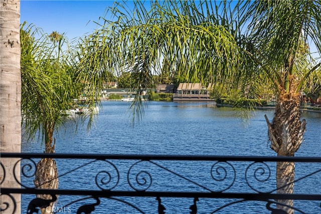 22762 Bayshore Ln, Lake Forest, CA 92630 - photo 51