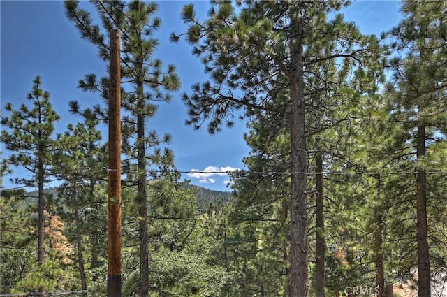 1288 Balsam Dr, Big Bear Lake, CA 92315 - photo 27