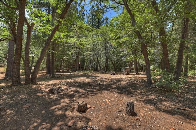 1288 Balsam Dr, Big Bear Lake, CA 92315 - photo 36