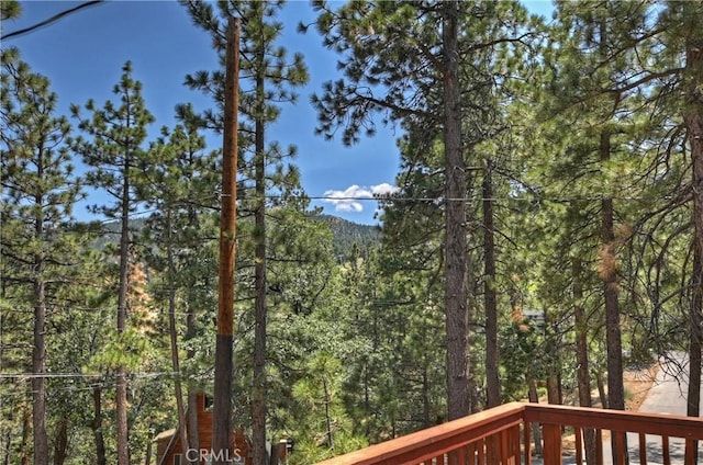 1288 Balsam Dr, Big Bear Lake, CA 92315 - photo 29