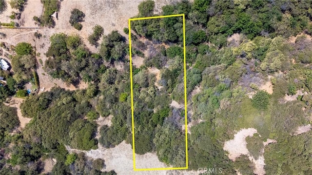 3657 Altamont St, Los Angeles, CA 90065 - photo 2