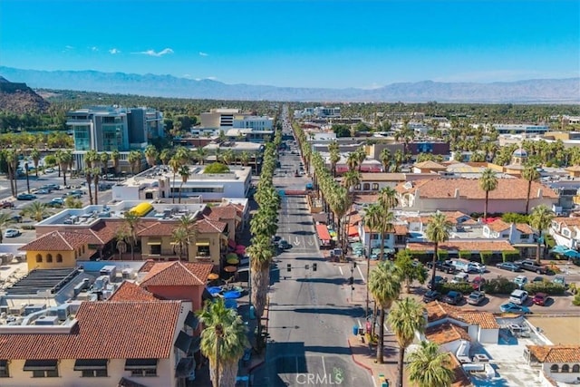 595 S Calle, Santa Rosa, Palm Springs, CA 92264 - photo 44