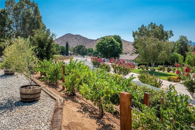 3627 Spanish Bit Dr, Acton, CA 93510 - photo 4
