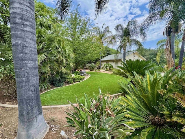 24608 Watt Rd, Ramona, CA 92065 - photo 2