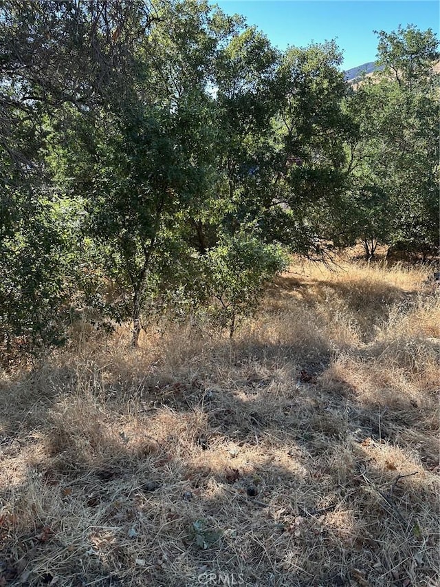 4219 Windsor Way, Lucerne, CA 95458 - photo 1