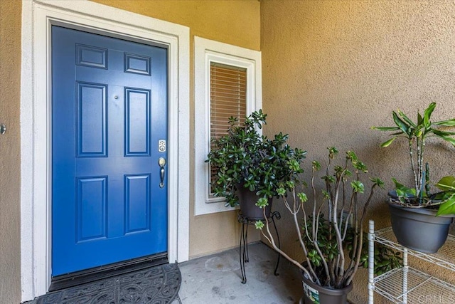 1463 Paseo Aurora, San Diego, CA 92154 - photo 2