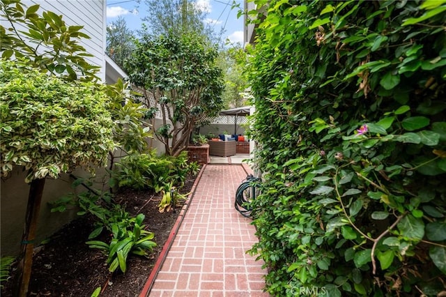 1417 Pine Ave, Manhattan Beach, CA 90266 - photo 46