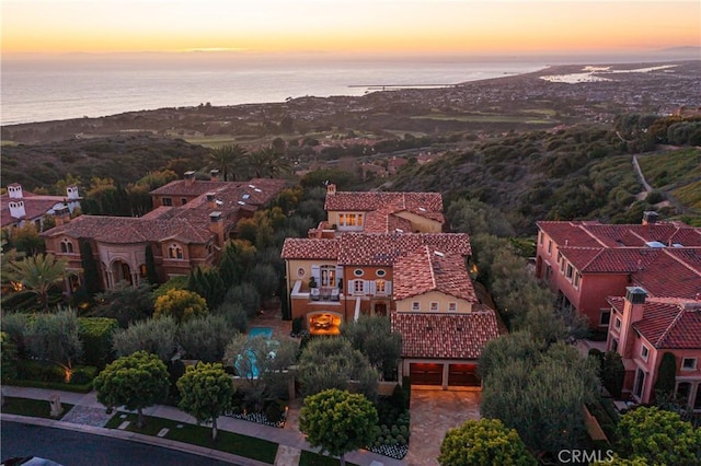 5 Pelican Vista Dr, Newport Coast, CA 92657 - photo 63