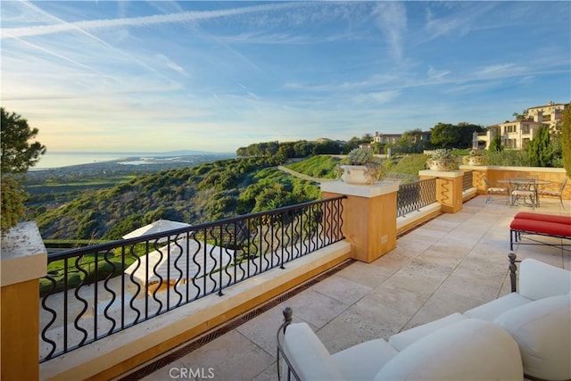 5 Pelican Vista Dr, Newport Coast, CA 92657 - photo 46
