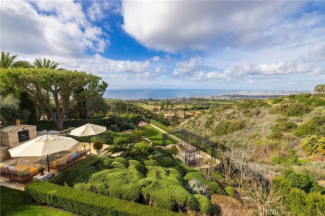 5 Pelican Vista Dr, Newport Coast, CA 92657 - photo 66
