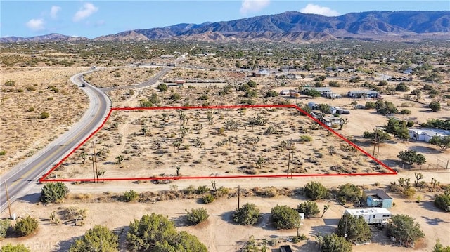 875 Locust Rd, Pinon Hills, CA 92372 - photo 7